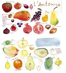 Lucile Prache 2 Watercolor Fruit Watercolor Illustration Watercolour Inspiration