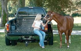 We did not find results for: B W Turnover Ball Gooseneck Hitch Mobile Living Truck And Suv Accessories
