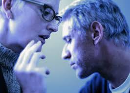 ADA County Family Violence Court Replication Manual