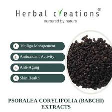 Image result for Psoralea glabra