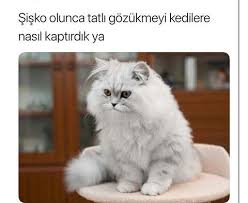 Selli Selli Adli Kullanicinin Ben Sizi Yerim Panosundaki Pin