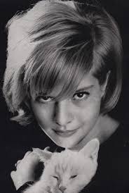 Sylvie Vartan La Jolie Poupee Photo Cat People Pretty Cats Pet Portraits