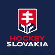 Slovensko po dvou slabších soupeřích a výhrách nad běloruskem 5:2 a velkou británií 2:1 dokázalo přehrát i velkého favorita. Slovensky Hokej Design Portal