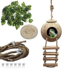 Check spelling or type a new query. Best Reptile Decor Hideouts Buying Guide Gistgear