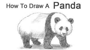 In this lesson we use regular printer paper letter sharpies and oil pastels. How To Draw A Panda