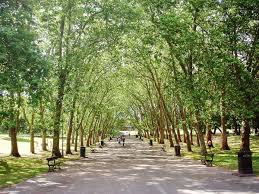 Die beste wahl für sie. Crystal Palace Park Wikipedia