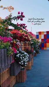 Maybe you would like to learn more about one of these? Safi Sh Safi88888 Profile Pinterest