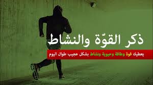 تفسير حلم الجمل أي رؤية الجمل في المنام Youtube