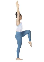 Tadasana Variation Mountain Pose Home Yoga Practice Basic Yoga Best Cardio Workout