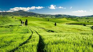 Support us by sharing the content, upvoting wallpapers on the page or sending your own background pictures. Tuscany Italy Hd Wallpapers Free Download Wallpaperbetter