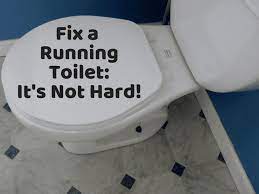 We did not find results for: Toilet Repair How To Fix A Leaking Or Running Toilet Dengarden