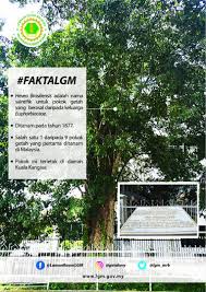 Maybe you would like to learn more about one of these? Santaisabtu Laman Rasmi Lembaga Getah Malaysia Lgm Facebook