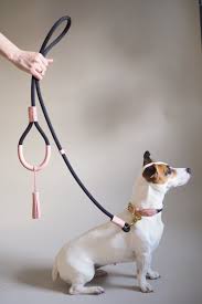 Macaroni Dog Leash Brown Pink Mint Red Black Blue Wine Leash Gift For Dogs Leash For Dogs Of Individual Length In 2020 Dog Leash Dog Business Dog Gifts
