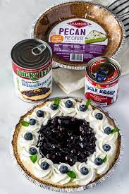No Bake Blueberry Cheesecake Nobake Blueberry Cheesecake Pie Tart Easy Summer Spring Swirl No Bake Blueberry Cheesecake Baked Dessert Recipes Desserts