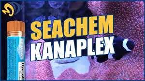 Seachem Kanaplex Fungal And Bacterial Treatment What You Need To Know Youtube