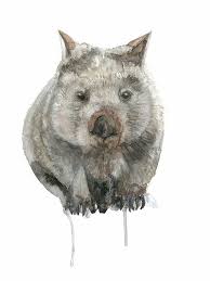 Wombat Watercolour By Winter Owls Australian Nursery Animal Print Australiana Illustration Wildlife Painting Home Decor A3 12 X 16 Australian Animals Australian Native Animals Watercolor Art Posters