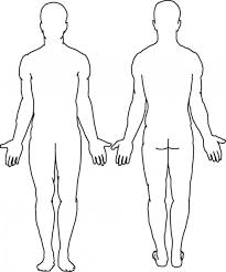 Studying the structure of a human body without visual aid is quite complicated. The Surprising Blank Body Body Template Body Outline Body Diagram Intended For Blank Body Map Template Digita Body Outline Body Template Human Body Drawing