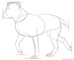 How To Draw A Pitbull Step By Step Drawing Tutorials For Kids And Beginners Dog Drawing Tutorial Pitbull Drawing Animal Drawings
