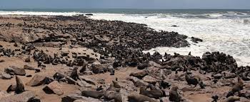 Enjoy exclusive discounts and free global delivery on charger for canon 700d at aliexpress The Best Lens For Canon 700d Camerastuff Review