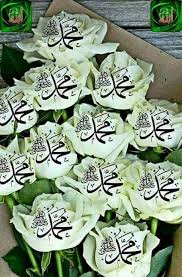 نسا لهم ينساك نساااااااايم ااااللييييييل Pages Directory