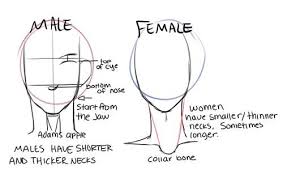 Drawing a face correctly is a huge step towards becoming a great artist. Male Female Face Structure Drawing Tips Drawing Tutorial Drawing People