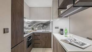 ascott orchard apartments, singapore