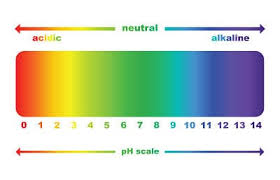 How To Raise Ph Levels In A Fish Tank 7 Ways To Rebalance