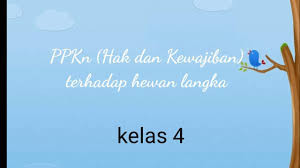 Tidak mendirikan rumah dipinggir sungai. Ppkn Kelas 4 Hak Dan Kewajiban Terhadap Hewan Langka Youtube