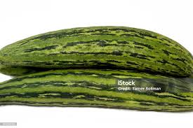 Image result for Cucumis