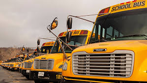 Image result for Yellow 2020 Fleet