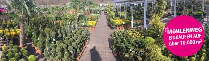 Gartencenter Muhlenweg Unsere Offnungszeiten