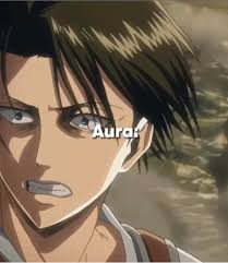 Levi Vs Founding Titan