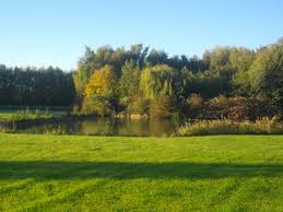 Au Jardin Des Poetes Les Pieds Verts Bauvin