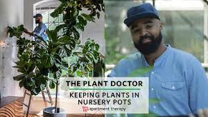 Keeping Your Plants In Nursery Pots The Plant Doctor Youtube Plant Nursery Plants Nursery