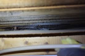 Image result for site:byggahus.se fuktproblem