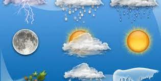 gazetesiz on twitter world meteorological day weather fish pet