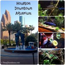 Plan Your Visit To The Houston Aquarium Houston Downtown Aquarium Houston Vacation Downtown Houston Houston