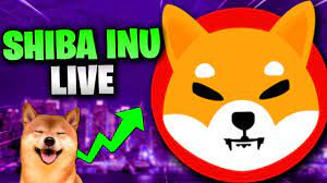 Shiba Inu Coin Blowing Up Right Now Huge Shiba Inu Coin News Today Live Coinmarketbag