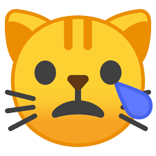 Express yourself with japanese emoticons, kaomoji, emoji. Crying Cat Emoji