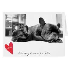 25 funny valentine's day cards that are more lol than xoxo. Valentine S Day Cute French Bulldog Photo Cuddle Holiday Card Zazzle Com Black French Bulldogs Cute French Bulldog French Bulldog Dog