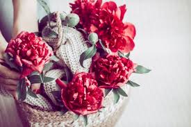 Wie bei allen anderen blumen. Pfingstrosen In Der Vase Haltbarer Machen Tipps Tricks