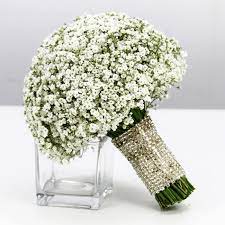 We did not find results for: Bridal Flower Bouquet Gypsophila Flowers Online Flower Delivery