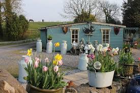 Torcefn Tea Room Llanelli Menu Prices Restaurant Reviews Tripadvisor