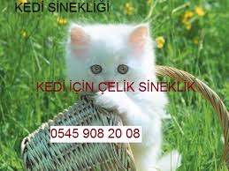 Kedi Sinekligi Kediye 100 Dayanikli Celik Sineklik Sistemleri