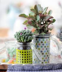 Kübelpflanzen wie sukkulenten und kakteen versprühen. Sukkulenten Als Deko Living At Home