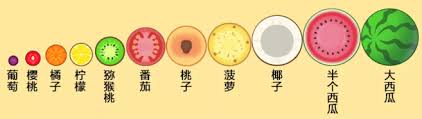Berikut ini adalah link download aplikasi atau apk dan bagaimana cara memainkan gamenya dengan mudah. I M Sorry About Synthetic Watermelon I Only Have Watermelon And Sword