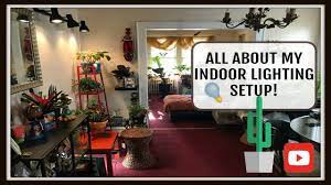 Maybe you would like to learn more about one of these? Plant Light Edition All About My Plant Lighting Setup Youtube