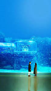 Legend of the blue sea (korean: The Legend Of The Blue Sea Lee Min Ho Tumblr Fotografi Alam Fotografi Kartun