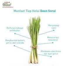 Streaming horimiya english subbed anime series in hd quality. Daun Serai In English Malay Newsai