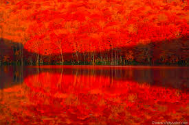 ãè¦ä¸æ²¼ã®ç´èãã®ç»åæ¤ç´¢çµæ